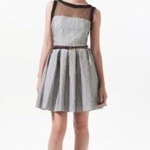 Zara Lace Dress